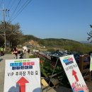 2024 대청호 벚꽃길 마라톤 5km 후기(주차, 셔틀, 옷차림, 짐보관, 메달, 꿀팁)