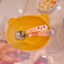 피자코코 | 오창 호수공원 인근 화덕피자 맛집 코코 후기