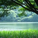 물흐르듯 이미지