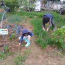 지후농장 이미지