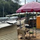 송산농장 이미지