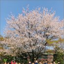 자연숲 유치원 이미지