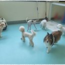 미루유치원 이미지