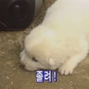 월
