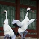 새옷입고