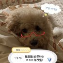 목화횟집 | [제주도 2일차] 오션뷰 끝판왕 맛집들 소개! 목화휴게소/동복해녀의집 n번째 방문 후기!