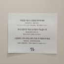 (25일까지!) 루프루프 팝업 롯데백화점 본점 후기💋🐶 + 마루는 강쥐, 베티붑