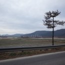 세븐일레븐 창녕이방옥야점 이미지