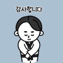 용인대 금곡 태권도 네이버블로그