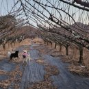 마리들농장 이미지