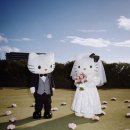 앤드케이크 | 얼렁뚱땅 웨딩일기💐 / 체리버터케이크 하프데이 촬영 후기 / 에잇앤드 8& 헤어 메이크업 / 드이베...