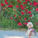 문학산에서 놀다 이미지