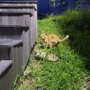 씨유울진연호공원점 | 8월 울진 일상: 이젠 진짜 운전숙련자가 되,,