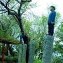 옥봉수산 Daum카페