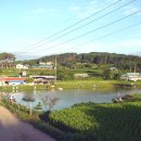 낚시터민박 이미지