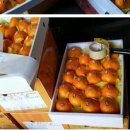 지영이네농장 이미지