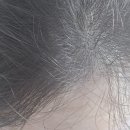 홍헤어샵 | 강동구 상일동 머리잘하는 미용실 헤어홍 헤어샵추천 염색방 새치염색전문점 이곳으로 오세요