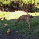 신흥초교 이미지