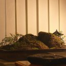 산에는 꽃이피네 이미지