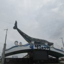 주문진항20 이미지