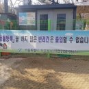 고고하개 이미지