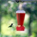 약용식물관리사 이미지