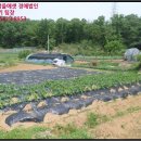 시천경로당 이미지