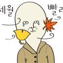 상지대효태권도 이미지