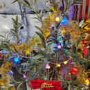 미스트롯 노래연습장 이미지