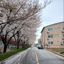 남산 5리 행복 마을