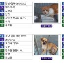 청조동물병원 이미지