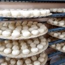 월드여인숙 이미지