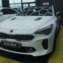 덕이로 | 파주 랩핑 기아 스팅어 루프스킨 시공 후기