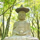 디나휘트니스 이미지