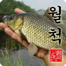 붕어나라낚시터 이미지