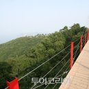 쪽섬목장 투어코리아