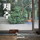 서쪽 여행 / 집의 기록 상점, 시종일관, 풀베개, 마노르블랑, 자매국수, 언니식탁 후기 / 제주 숙소 추천
