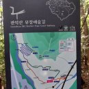 관악산 무장애숲길 | 서울대 미술관 그리고 관악산 무장애 숲길