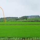 설성초교 이미지