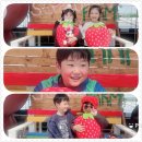 갈마농장 | 후기 🌱 놀이 속 배움! 경성태권도장 4월 체험학습 이야기