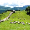 명곡목장 이미지