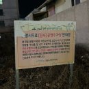 포항 장성동 구워주는 고깃집 포항식 소금구이 모둠 포항숯불가든