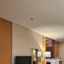 C호텔 리조트 | 벚꽃여행 속초 델피노 소노캄C 호텔 객실후기 속초 가볼만한 곳