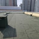 일등개발