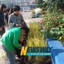 송정서초교 이미지