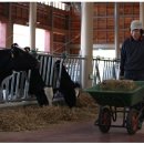 영석목장 이미지