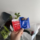 루다펜션 이미지