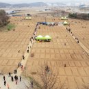 배치농장 이미지