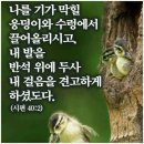 임마누엘 이미지