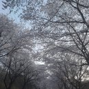 호반휴게소